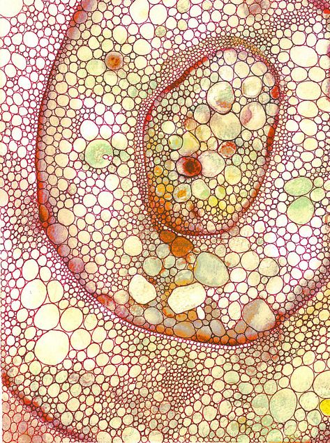 Cellular Structure Art Print. Taken from my original water colour and ink hand painted Cellular Structures Series, digitally manipulated on imaging software to bring out a new vibrancy and focus in on areas of specific detail. Prints are available in the following sizes: A3 297 x 420 Structure Art, Cellular Structure, Microscopic Photography, Micro Photography, Water Colour, Textile Prints, Mood Board, Software, Art Print