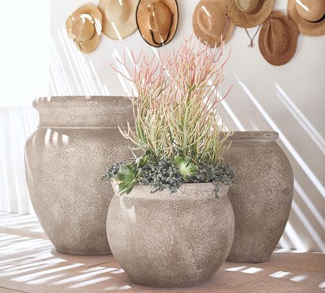 Azina Planters | Pottery Barn Clay Planters, Indoor Outdoor Planter, Succulent Care, Terracotta Planter, Metal Planters, Pottery Planters, Outdoor Planters, Outdoor Oasis, Luxor