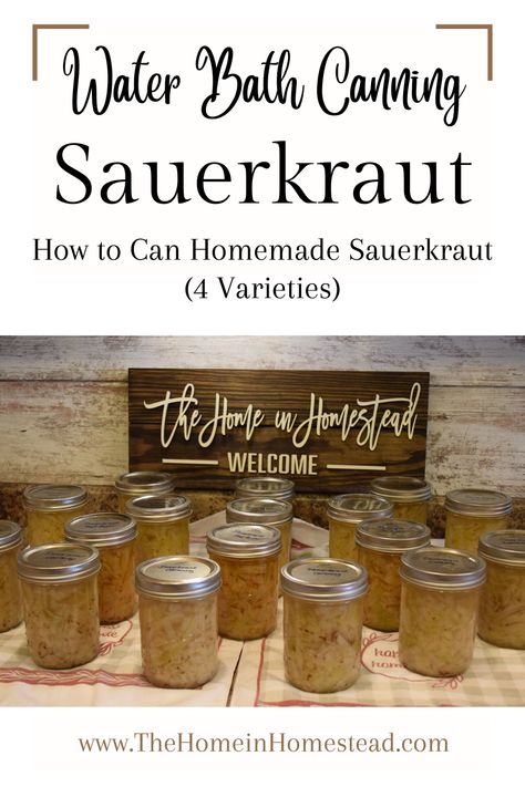 Homemade Sauerkraut Home Canned in Mason Jars Canning Saurkraut Recipes, How To Can Sour Kraut, Canning Sour Kraut Water Bath, Canning Sauerkraut Recipes, How To Can Sauerkraut, Canned Sauerkraut, Canning Sauerkraut, Canning Veggies, Homemade Sauerkraut