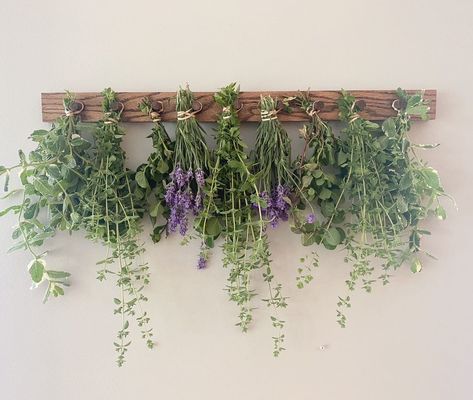 Beautiful Solid Oak Herb Drying Rack. 24 inches in length. Has key holes on the back for easy hanging. Beautiful way to dry your garden herbs. Herb Drying Kitchen, Glass Herb Jars, Kitchen Herb Drying Rack, Herb Drying Wall, Indoor Herb Garden Shelf, Herbal Drying Rack, Hanging Rack Kitchen, Wild Flower Kitchen Decor, Kitchen Herbs Ideas