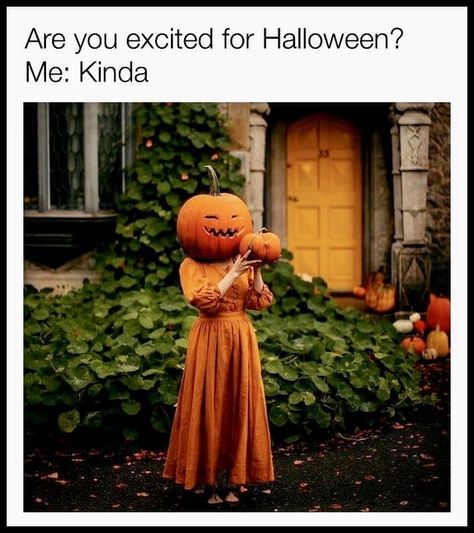 Fall Memes, Halloween Memes, Halloween 2022, Cozy Season, Autumn Quotes, Halloween Quotes, Fall Aesthetic, Samhain, Hallows Eve