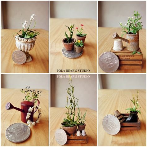 miniature plants by studio soo Making Miniature Houses, Miniature Projects Diy, How To Make Miniature Things, Diy Miniatures Tutorials, Miniature Greenhouse, Making Miniatures, Dollhouse Miniature Tutorials, Diy Doll Miniatures, ดินปั้น Polymer Clay