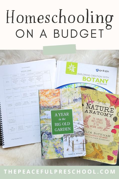 Are you curious about how to fit homeschooling in your finances? Homeschooling can be very budget friendly! Check out these 6 simple strategies to help plan your homeschool year within your budget. You will also find a free sample of our most popular resources! For more affordable homeschool resources, visit ThePeacefulPress.Shop. Homeschool On A Budget, Good And Beautiful Homeschool, Homeschool Discounts, Homeschool Units, Homeschooling Classroom, Trouble Makers, Waldorf Montessori, Charlotte Mason Homeschool, Creative Lesson Plans