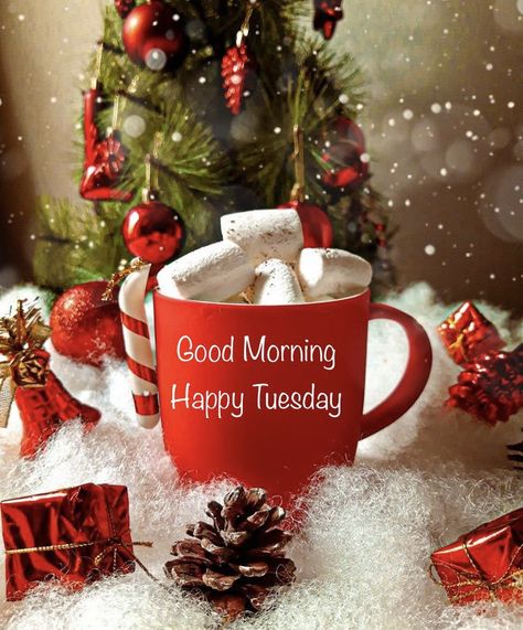 Happy Tuesday Winter Images, Good Morning Christmas Season Wednesday, Good Morning December Coffee, Christmas Monday Morning Quotes, Good Morning Tuesday Winter, Good Morning Tuesday Winter Images, Happy Tuesday Christmas, Good Morning Monday Christmas Images, Good Morning December