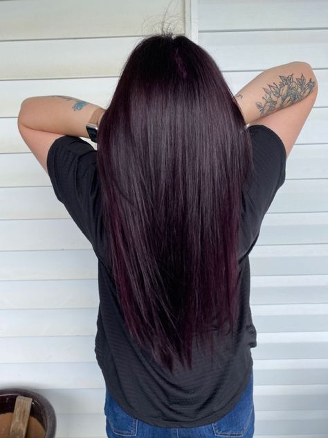 Dark Purple With Black Hair, Dark Hair W Purple Tint, Black Cherry Plum Hair Color, Plum Hair On Brown Hair, Dark Brown Hair With Tint Of Purple, Black Hair With Burgundy Tint, Black Eggplant Hair, Dark Redish Purpleish Hair, Dark Plum Brown Hair Color