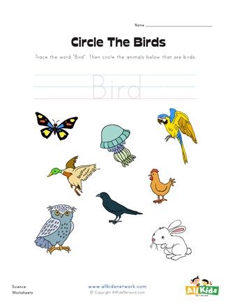 Circle the Birds Worksheet | All Kids Network Birds And Reptiles Preschool Activities, Birds Worksheets Kindergarten, Birds Worksheets For Kids, Reptiles Preschool, Bird Watching Journal, Plant Life Cycle Worksheet, Preschool Worksheets Free Printables, Kids Preschool Learning, Birds For Kids