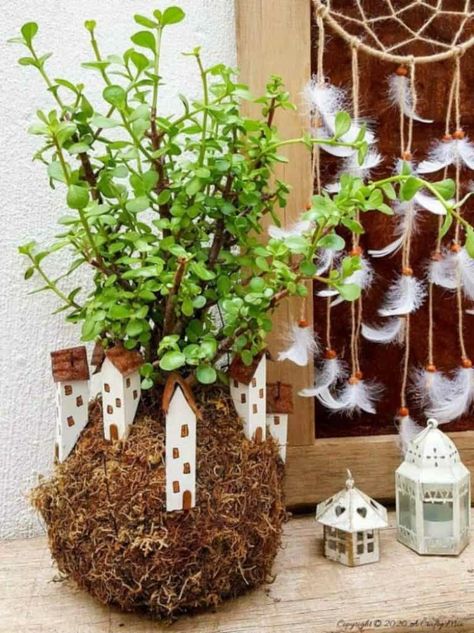 Kokedama Diy, String Garden, Diy Sale, Gardens Of Babylon, Moss Ball, Floating Garden, Fairy Village, Moss Balls, Fairy Garden Houses