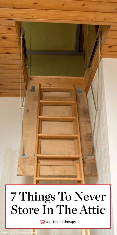 Lofted Garage, Garage Storage Loft, Organize Hacks, Organize Garage, Attic Storage Solutions, Garage Inspiration, Attic Organization, Garage Attic, Attic Ladder