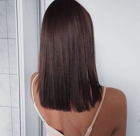 Rich brown Platinový Blond, Rambut Brunette, Brown Hair Shades, Kadeřnické Trendy, Vlasové Trendy, Short Straight Hair, Haircuts Straight Hair, Short Hair Haircuts, Medium Hair Cuts