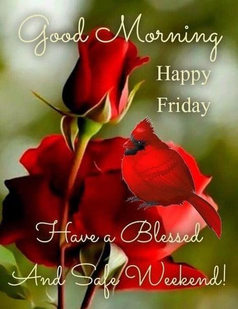 Beautiful Friday Good Morning Images, Good Morning Happy Friday Quotes, Morning Boyfriend, Good Morning Friday Quotes, Happy Friday Good Morning, Friday Good Morning, Happy Friday Pictures, Good Friday Morning, Friday Greetings