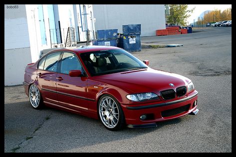 Bmw E46 330i Zhp, E46 Wagon, E46 330i, Bmw Red, Bmw E46 Sedan, E46 Touring, Jetta A4, E46 Sedan, Bmw 3 E46