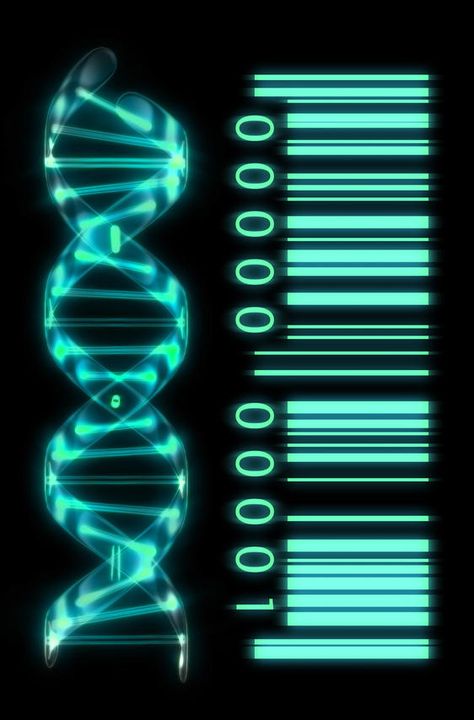 Mi profesor de biología enseña a las 9:45. Estamos aprendiendo sobre el ADN… Microbiology Study, Dna Art, Dna Molecule, Human Genome, Human Dna, Speed Of Light, Mystery Boxes, Forensic Science, Molecular Biology