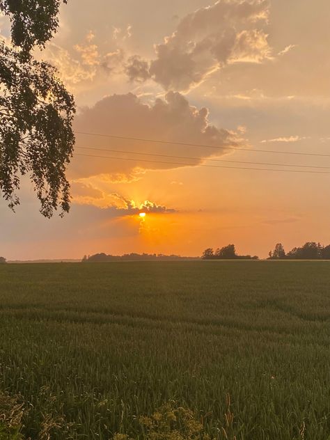 Flower Field Sunset Aesthetic, Open Field Aesthetic Sunset, Golden Hour Field Aesthetic, Sunset Over A Field, Sunsets In Fields, Summer Fields Aesthetic, Sunset Landscape Aesthetic, Sunsets Country, Sunset Field Aesthetic