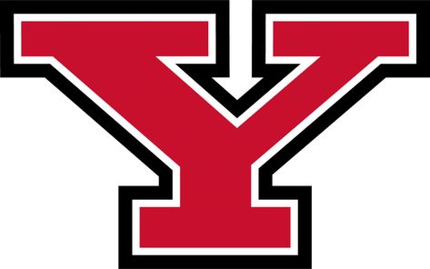 Football Vinyl Decal, Youngstown State University, Penguin Logo, Youngstown Ohio, Foot Ball, University Logo, College Logo, Sports Svg, Ncaa Football