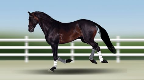 I'm No Superman .:Canter Animation:. by wideturn Horse Animation Gif, Cantering Horse, Horse Animation, Horse Rearing, Horse Art Drawing, Horse Sketch, Hanoverian, Horse Galloping, Eyes Brown