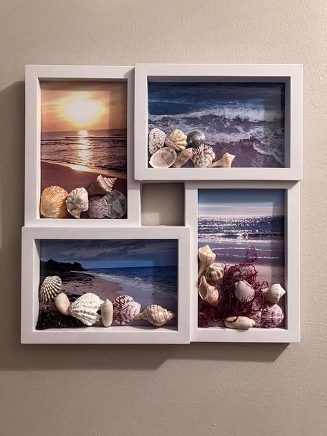 Tarerium Ideas, Seashell Display Ideas Shadow Box Shell Art, Decorating With Sea Shells, Sea Shell Frames Diy, What To Do With Sea Shells Diy, Seashell Storage Ideas, Sea Shell Craft Ideas, Diy With Shells Ideas, Shell Wall Art Diy