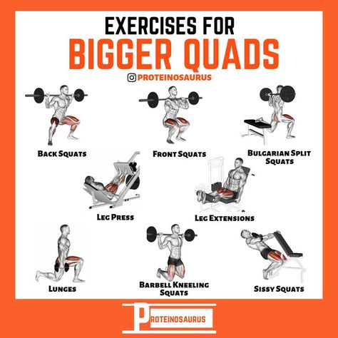 Compound Leg Exercises, Bigger Quads, Vastus Lateralis, Vastus Medialis, Rectus Femoris, Machine Exercises, Leg Workouts For Men, Leg Lifts Workout, Quadriceps Femoris