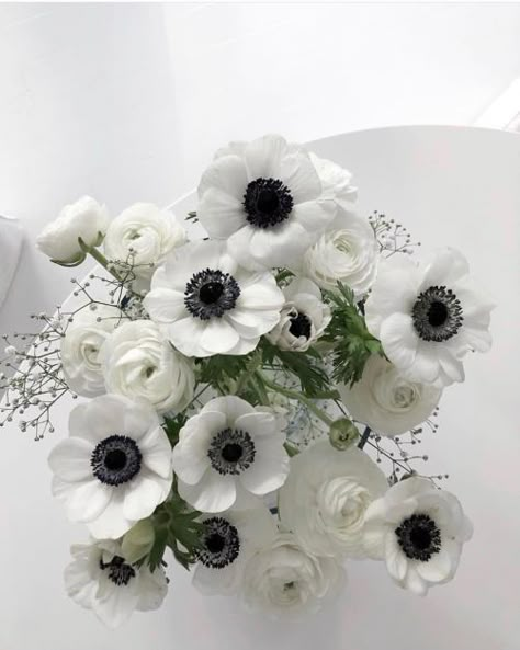 credit: Sonja Olsen Flower Arrangements With Anemones, Wedding Transformation, Anemone Wedding, Anemone Bouquet, White Ranunculus, White Anemone, December Wedding, Anemone Flower, White Wedding Bouquets