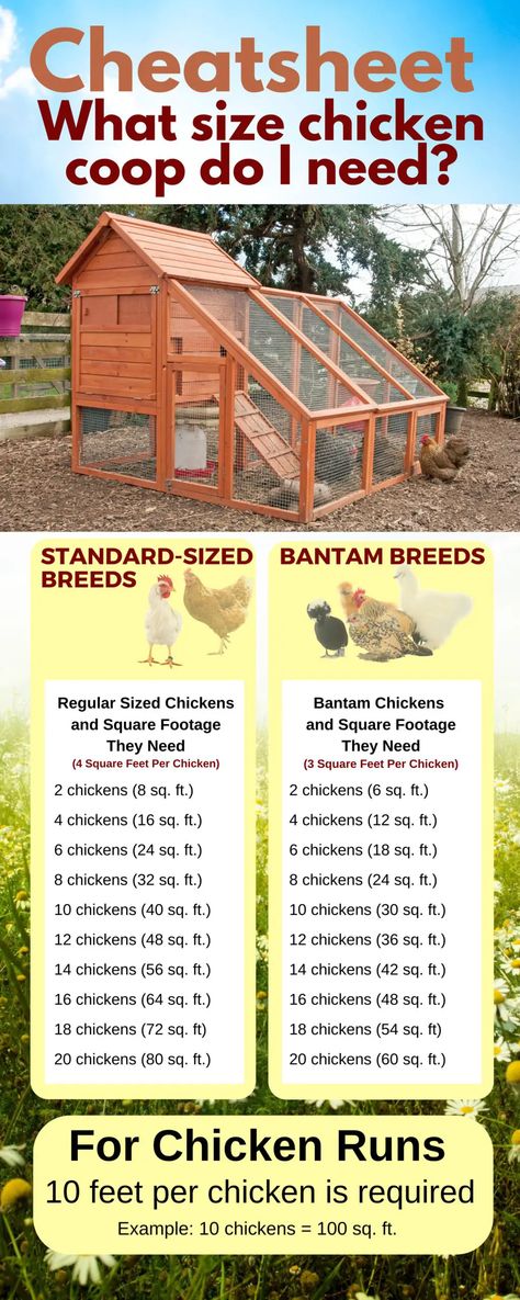 FREE 5×8 A-Frame Chicken Coop Plan - Free Chicken Coop Plans Small Chicken Pen Ideas, Diy Chicken Run Ideas Easy Cheap, Diy Chicken Coop With Run, Diy Chicken Coop Ideas Easy Cheap, Chicken Coop Designs Diy Cheap, Chicken Knowledge, Easy Diy Chicken Coop Plans, Backyard Chicken Coop Ideas, Chicken House Plans