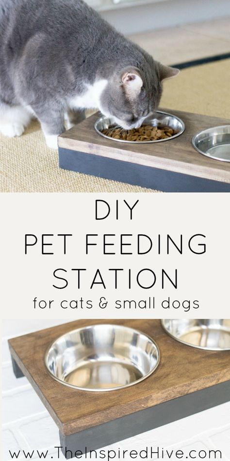 It's so easy to build this DIY raised pet feeder! Perfect idea for small dogs or cats. Get modern farmhouse style with black and wood tones. Diy Raised Cat Food Bowl, Pet Feeding Station Diy, Diy Cat Bowl Stand, Raised Cat Food Station, Diy Cat Feeding Station, Cat Food Station, Diy Cat Food, Cat Feeding Station, Pet Feeding Station