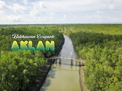 Bakhawan Ecopark : Aklan's Community-Based Ecotourism Destination - Escape Manila Aklan Philippines, Kalibo, Mangrove Forest, East Africa, Manila, Travel Blogger, Philippines, Forest, Australia