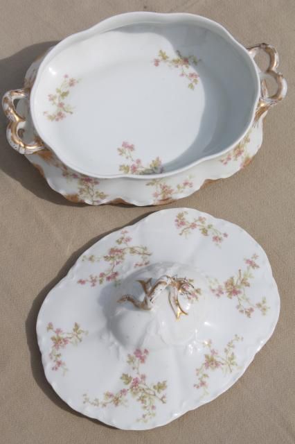 antique Haviland Limoges china serving pieces, tureen, covered bowl, platter etc. Antique China Dishes, Beautiful Crockery, Vintage Dishes Antiques, Haviland China, Antique Haviland Limoges, Apple Painting, Limoges China, Pretty Dishes, Antique Dishes