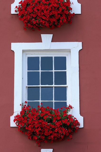 Come to my window by California Paints, via Flickr Box Gardens, Door Ways, Windows View, Historic Colours, Windows 1, Window Box Flowers, نباتات منزلية, Wooden Planter, Flower Window