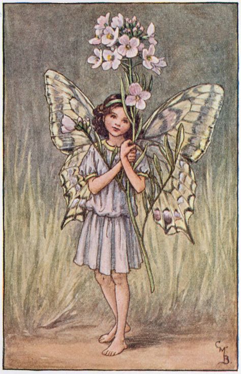 Illustration for the Lady's-Smock Fairy from Flower Fairies of the Spring. A girl fairy stands facing front holding a bunch of lady's smock.  300.1.11 FF Spring 11 1923 Flower Fairies Books, Fairy Illustration, Fairy Pictures, Cicely Mary Barker, Vintage Fairies, Fairy Book, Flower Fairies, Beautiful Fairies, Fairy Angel