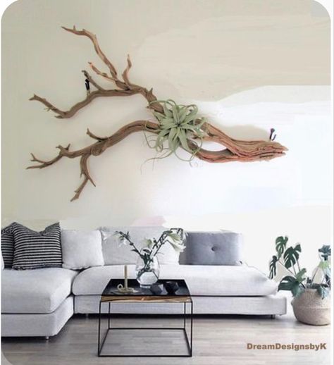 Air Plants Decor, Tree Branch Decor, Large Wood Wall Art, نباتات منزلية, Driftwood Wall Art, Hemma Diy, Driftwood Decor, Plant Decor Indoor, Driftwood Crafts