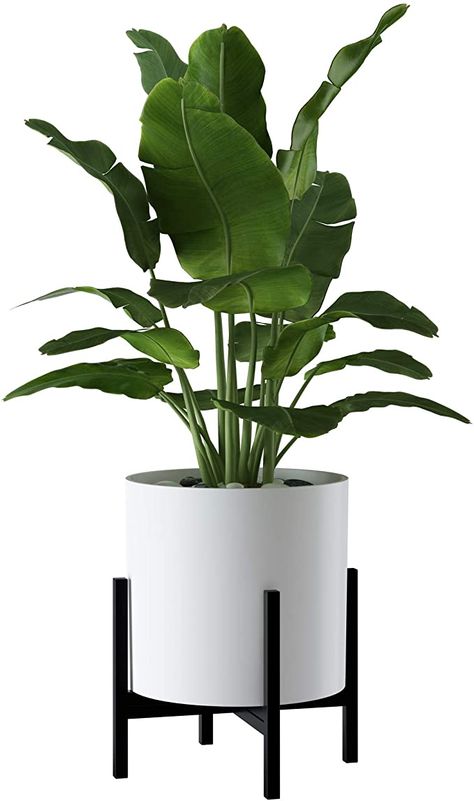 Black Plant Stand, Mid Century Modern Plant Stand, Mid Century Plant Stand, Mid Century Plants, Indoor Plants Styling, Century Plant, Modern Plant Stand, Planter Design, Outdoor Plant