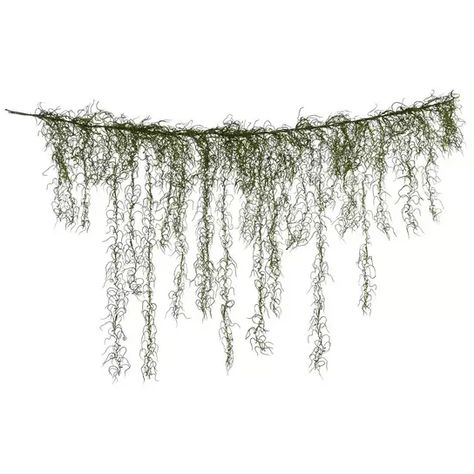 Green Spanish Moss Garland | Hobby Lobby | 343285 Moss Garland, Swamp Witch, Moss Wedding, Peace Pipe, Moss Decor, Enchanted Forest Wedding, Greenery Garland, Creation Deco, Spanish Moss