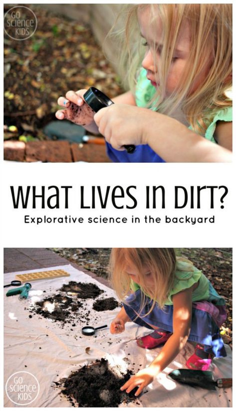 Sustainability Preschool Activities, Backyard Science, Soil Activities, Garden Classroom, Family Gardening, Outdoor Learning Activities, Science Kids, Forest School Activities, Science Stem