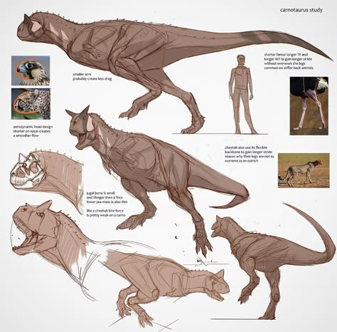 Jon Kuo on Instagram: “Carnotaurus study  disclaimer! I'm not a paleontologist or a paleobiologist and I never claim to be an animal expert I'm just a concept…” T Rex Drawing Reference, Triceratops Cute Drawing, Paleoart Illustrations, Prehistoric Animals Art, Dinosaur Art Reference, Carnotaurus Sketch, Dinosaur Anatomy Drawing, Carnotaurus Paleoart, Dinosaur Drawing References