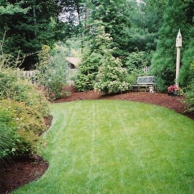 Landscape-designtips-mulch-tarheelgardening Yard Crashers, Garden Mulch, Mulch Landscaping, Garden Shrubs, Backyard Makeover, Small Backyard Landscaping, Lawn And Garden, Mulch, Yard Landscaping