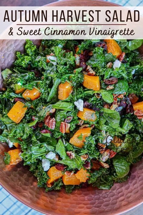 This feel good, yummy fall salad recipe is the best! It's easy, simple & healthy. Also included: a homemade, sweet cinnamon vinaigrette dressing recipe! Great for a crowd & parties. If you need a tasty side dish to bring to Thanksgiving dinner, autumn harvest salad will be a hit. This salad has it all! Nutritious kale & spinach, roasted butternut squash, crunchy pecans, tart cranberries & creamy crumbled goat cheese. Up your fall food aesthetic with this gorgeous dish! #fallfood Cinnamon Vinaigrette, Butternut Squash Tart, Autumn Harvest Salad, Squash Tart, Roasted Butternut Squash Cubes, Salad Fall, Crumbled Goat Cheese, Vinaigrette Dressing Recipe, Fall Salads