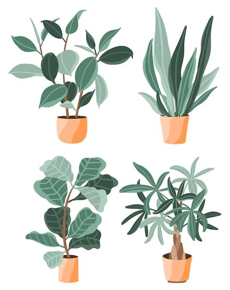 Plants In Pots Drawing, Plant Drawing Aesthetic, Potted Plant Drawing, Potted Plant Illustration, House Plant Illustration, Big Leaf Plants, Plants Vector, Nature Icon, Plant Clipart