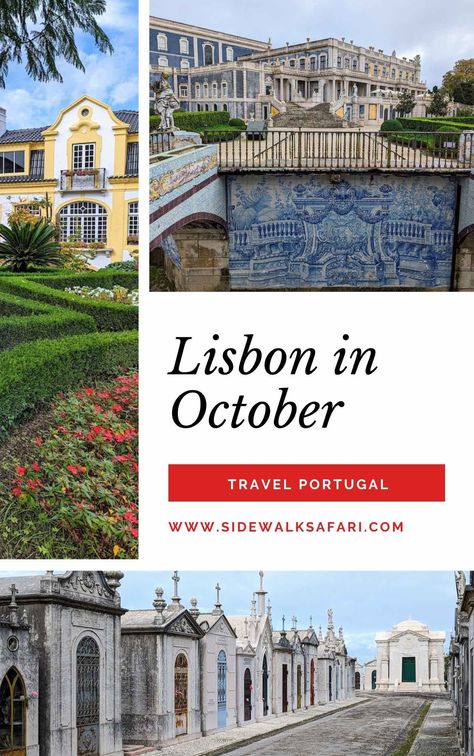 Planning a trip to Lisbon in October? Discover the very best things to do, see, and eat. Lisbon In October, Lisbon October Outfits, October Travel, Things To Do In Lisbon, Travel Portugal, Portugal Travel Guide, Europe Trip Itinerary, Safari Travel, Travel Around Europe