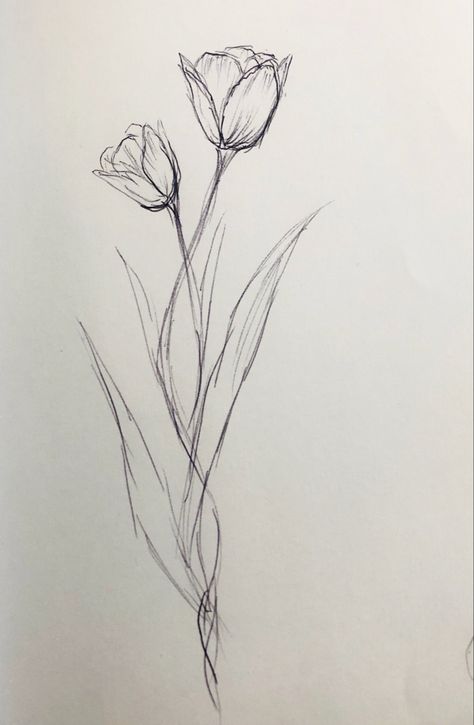 Plants Drawing Sketch, Sketch Nature Simple, Cute Flower Sketches, How To Draw A Lily Flower, Tulip Spine Tattoo, Flower Drawing Inspiration, Sketch Ideas Flowers, Flowers To Sketch, Flower Sketch Aesthetic