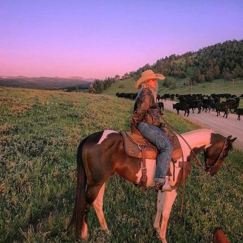 Rodeo Life, Arte Cowboy, Country Girl Aesthetic, Foto Cowgirl, Cai Sălbatici, Country Girl Life, Rasy Koni, Looks Country, Cowgirl Aesthetic