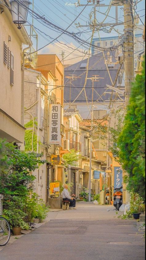 #prefiroviajar #agencia #viajarepreciso #adventure #brasilturismo #ecotourism #sustainabletravel #getoutdoors #naturetravelfamily #adventuretravel Bridge Scenery, Ann Liang, American Tourister Luggage, Minimalist Kawaii, Sea Walk, Summer Japan, Japan Summer, Train Ticket, Tokyo Japan Travel