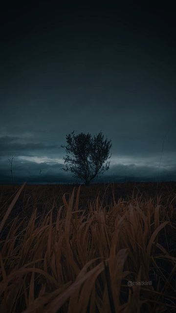 Moody Wallpaper Aesthetic, Moody Nature Aesthetic, Dark Country Aesthetic, Dark Sky Aesthetic, Dark Naturalism Aesthetic, Dark Moody Aesthetic, Venus Aesthetic, Fantasy Sky, Moody Sky