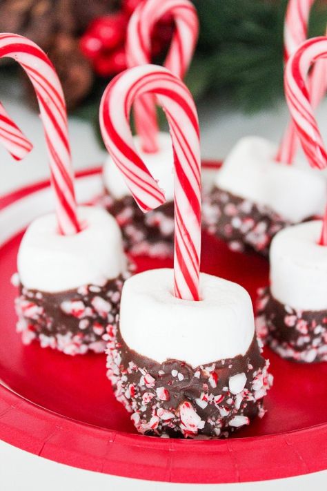 Covered Marshmallows, Peppermint Dessert, Peppermint Recipes, Best Christmas Desserts, Peppermint Chocolate, Chocolate Covered Marshmallows, Xmas Treats, Christmas Candy Recipes, Hot Chocolate Bars