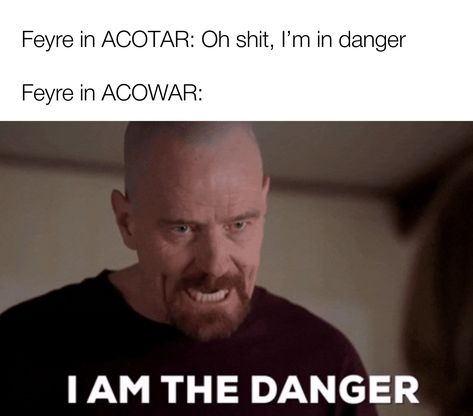 Feyre ACOTAR vs ACOWAR Feyre X Rhysand, Nyx Acotar Memes, Acotar Memes Funny, Feyre Acotar, Sarah Maas, Acotar Funny, Acotar Series, Trivia Quizzes, Character Arc