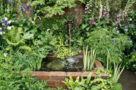 10 things you need to know about water features Waterfall Landscaping, Raised Pond, Building A Pond, Outdoor Water Features, Garden Water Feature, Pond Life, Waterfalls Backyard, Waterfall Features, Waterfall Fountain