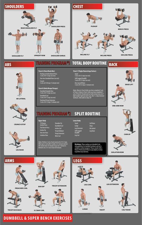 Dumbbell Workouts Exercise Charts Free Dumbbell Full Body Workouts, Full Body Workout With Dumble, Dumbell Workout Printable, Dumbbell Superset Workout, Full Body Exercises Gym, Free Weight Workout For Men, Gym Workout Chart For Men, Printable Workouts For Gym, Weight Lifting Workouts For Men