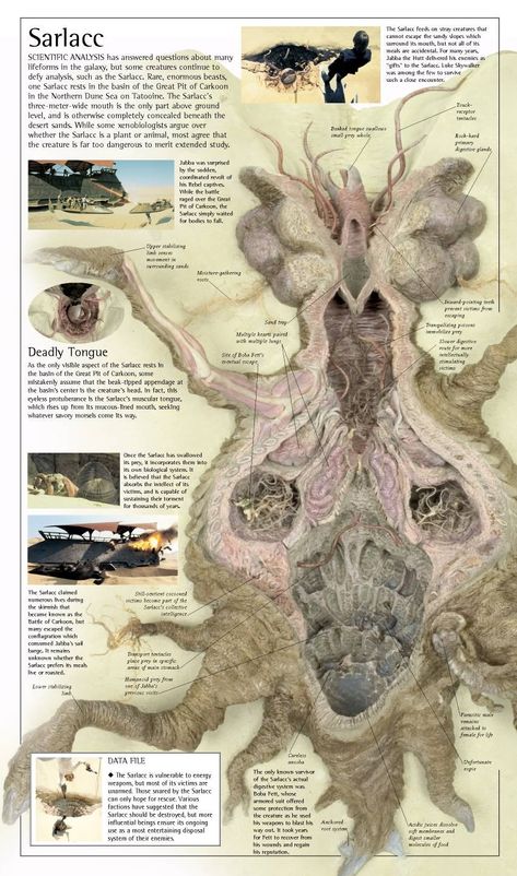 Anatomy of the sarlacc pit Sarlacc Pit, Star Wars Love, Cuadros Star Wars, Star Wars Concept Art, Star Wars Rpg, Arte Cyberpunk, Star Wars Artwork, Star Wars Images, Star Wars Pictures