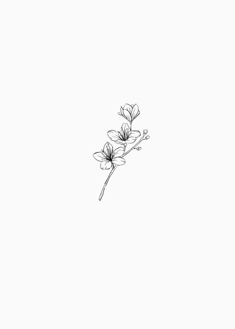 Tiny Jasmine Flower Tattoo, Jasmine Tattoo Flower Small, Fine Line Blossom Tattoo, Cherry Blossom Line Art Tattoo, Unique Fineline Tattoo, Lignum Vitae Tattoo, Jasmin Tattoo Flower, Cherry Blossom Fine Line Tattoo, Hand Flowers Tattoo