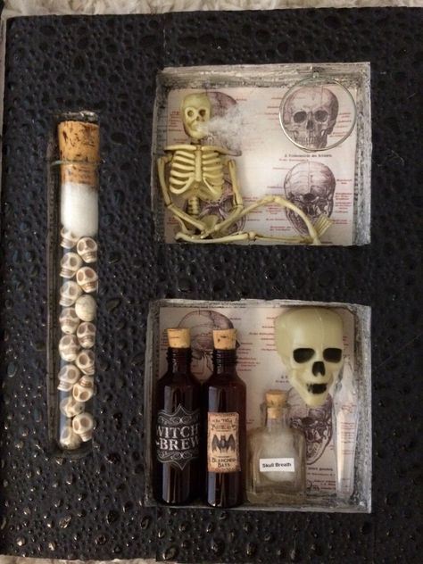 Apothecary Book, Halloween Assemblage, Halloween Shadow, Slithering Snake, Anatomy Book, Halloween Diorama, Halloween Shadow Box, Halloween Apothecary, Haunted Dollhouse