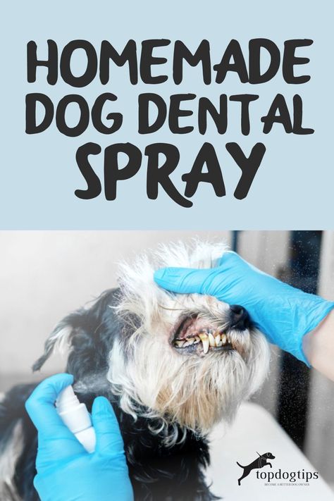 Dog Bad Breath Remedy, Stinky Dog Breath, Bad Dog Breath, Meds For Dogs, Stinky Dog, Dog Toothpaste, Dog Remedies, Dog Breath, Dog Smells