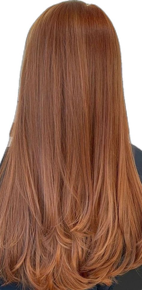 Copper Hair Light, Hair Copper Brown, Copper Hair Colour, Ginger Copper Hair, Copper Rose Gold Hair, Golden Copper Hair, Hair Color Ginger, Light Copper Hair, Dark Copper Hair